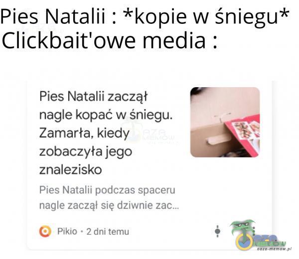 Pies Natalii : *kopie W śniegu* Clickbait owe media : Pies Natalii zaczął nagle kopać w śniegu. & Zamarła, kiedy ”i?: zobaczyła jego . znalezisko PESS Natalu podczaS spaceru nagle zacza” slę dZIWmE Pm : Żdmtemu