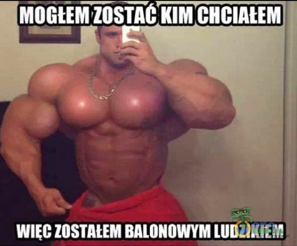 MOGIEM zosîîC KIM CHCIAIEM WIEC ZOSTAŁEM BALONOWYM LUDZIKIEM