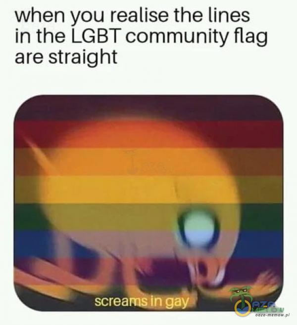 when you realise the lines in the LGBT munity flag are straight screa