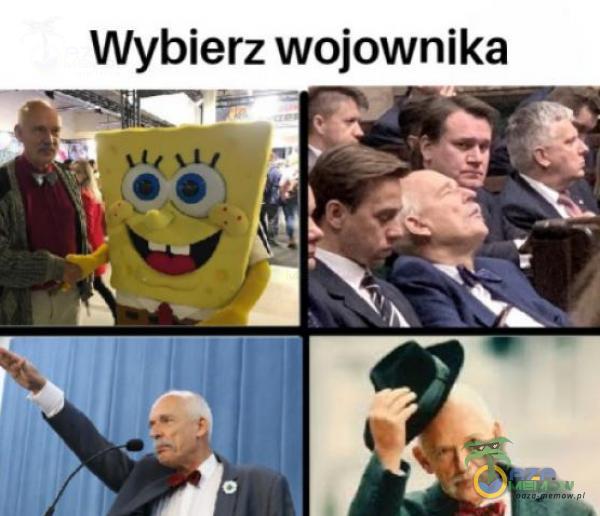 Wyblerz wo;owmka