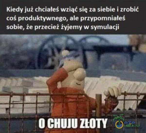 Codziennie tylko śmieszne memy, pasty, gify, suchary i filmy - przeglądaj, komentuj, dodawaj własne!