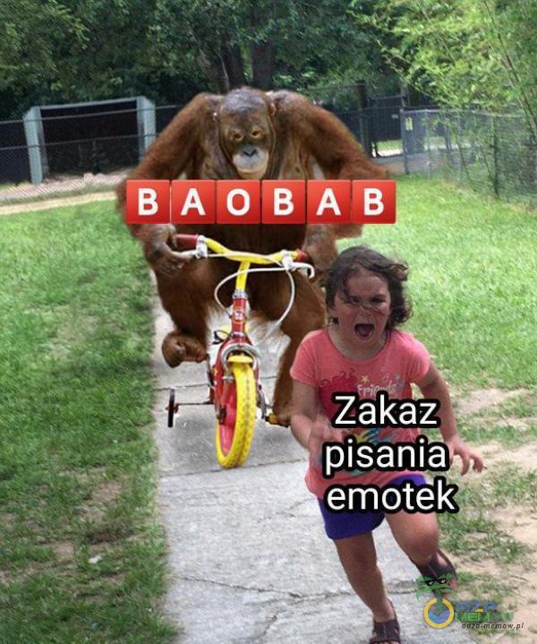 ȚAOBAB Zakaz pisania emotek