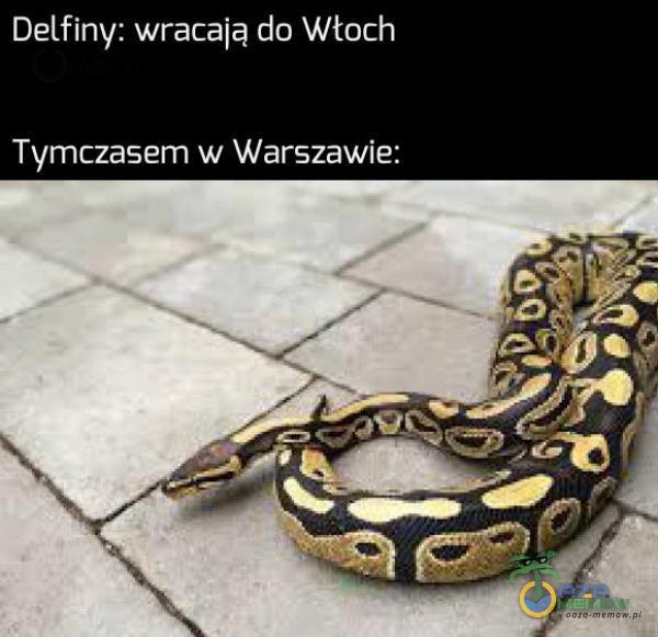 WAN Wciaz zes Cady Tymczasem w Warszawie:
