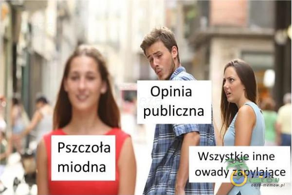 - . Opinia , publiczna | J EE Pszczew « Wszystkie Inn! IW miodna I owady (ap I » V ająca .- *” l- . . śl].