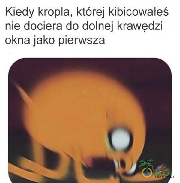 Codziennie tylko śmieszne memy, pasty, gify, suchary i filmy - przeglądaj, komentuj, dodawaj własne!