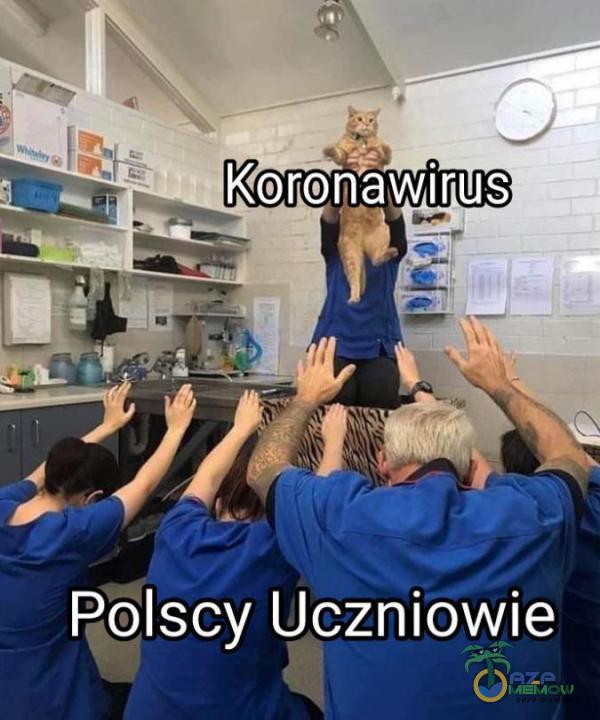Polscy Uczniowie