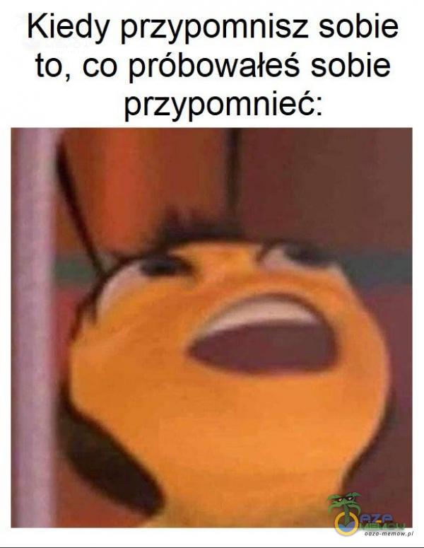 Kiedy przypomnisz sobie to, co próbowałeś sobie przypomnieć: