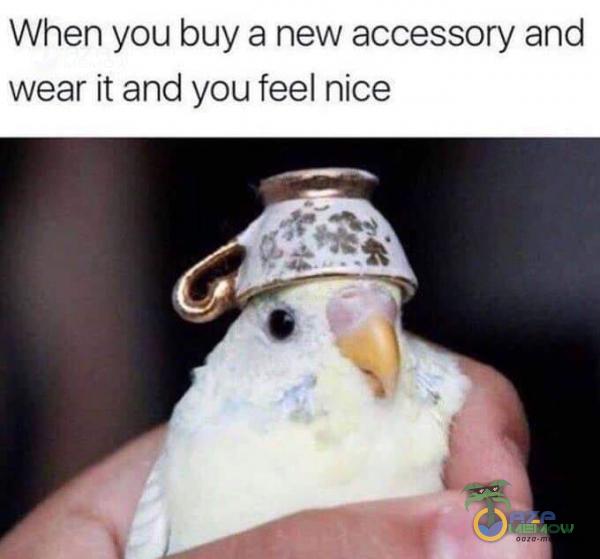 When you buy a new accessory and wear ił and you feel nice