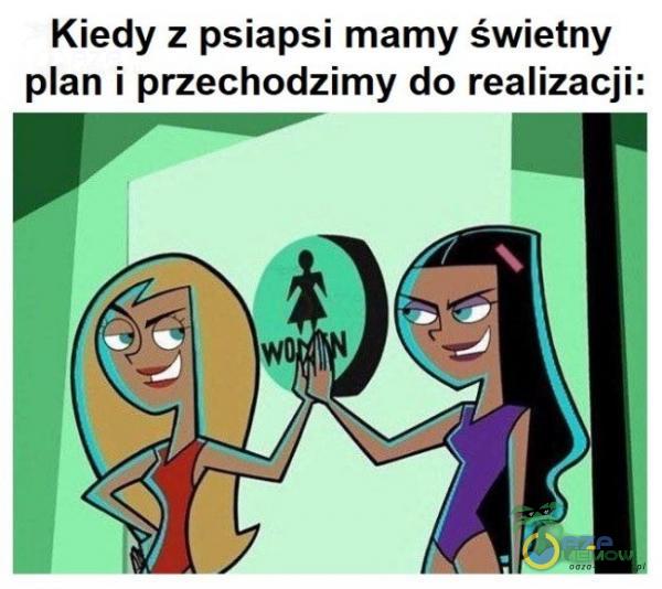 Kiedy z psiapsi mamy świetny an i przechodzimy do realizacji: