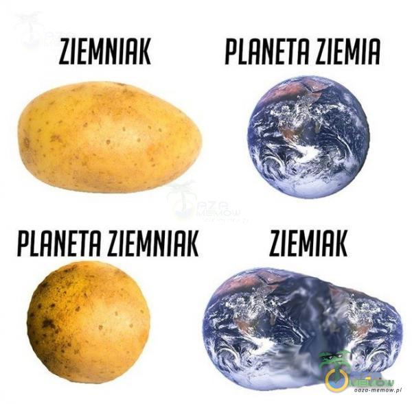 ZIEMNIAK ZIEMNIAK ZIEMIŃ ZIEMIRI(