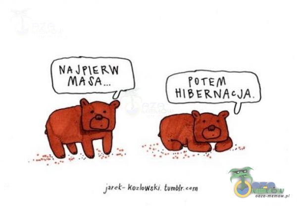 HIBERNACJA Pet— kozłowski. tumblr.