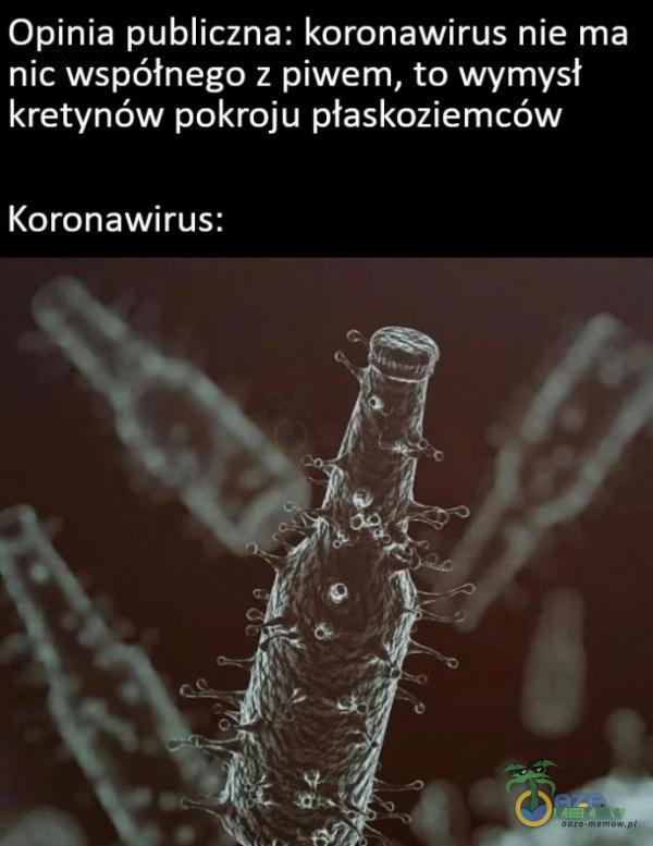 Opinia publiczna: koronawirus nie ma nic współnego z piwem, to wymysł kretynów pokroju płaskoziemców Koronawirus: