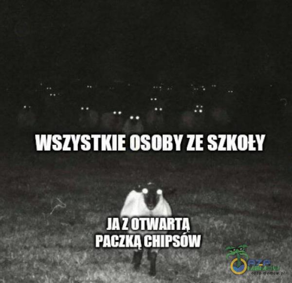 WSZYSTKIE OSOBY l! Slllllt l