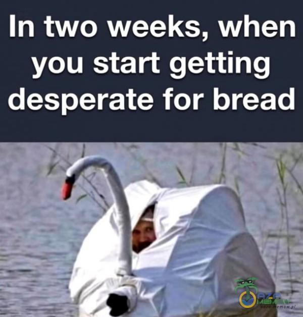 In two weeks, when you start getting desperate for bread