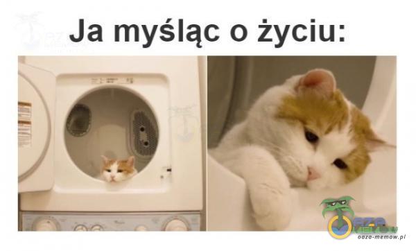 Ja myśląc o życiu: