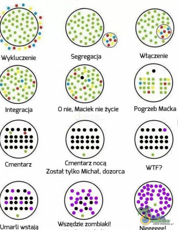 Codziennie tylko śmieszne memy, pasty, gify, suchary i filmy - przeglądaj, komentuj, dodawaj własne!