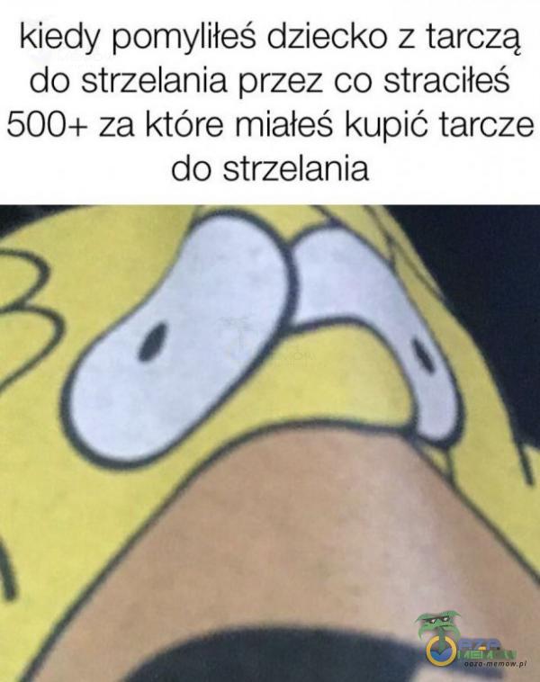 kiedy pomylileś dziecko z tarczą do strzelania przez co straciłeś 500+ za które miałeś. kupić tarcze do strzelania r—