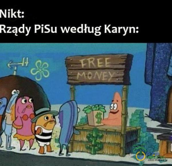 Nikt: Rządy PiSu według Karyn: