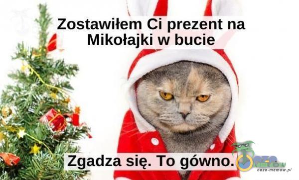 Zostawiłem Ci prezent na Mikołajki w bucie Zgadza się. To gówno.