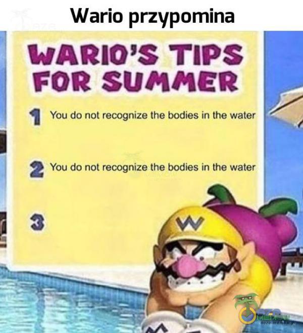 Wario przypomina WARIO S TIPS FOR SUAAER 1 You do not recognize the bodies in the water 2 You do not recognize the bodies in the water