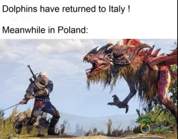 Dolphins have returned to Italy ! Meanwhile in Poland: