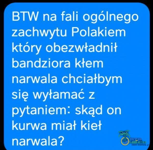 BTW na fali ogólnego zachwytu Polakiem który obezwładnił bandziora kłem narwala chciałbym się wyłamać z pytaniem: skąd on ***rwa miał kieł narwala?