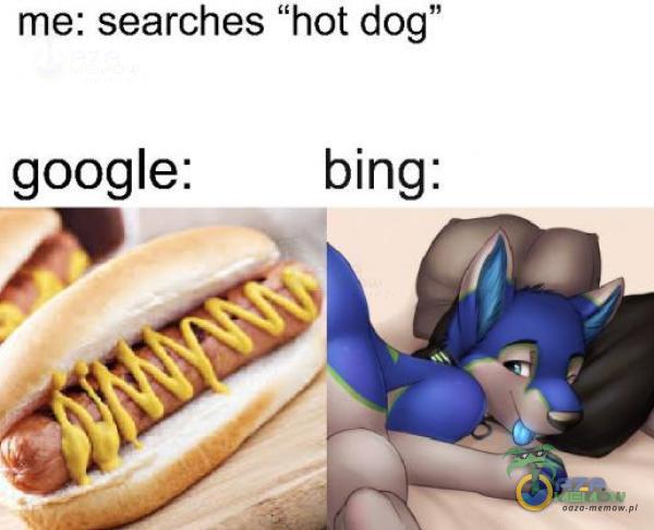 me: searches hot dog” google: bing: