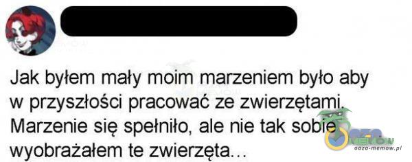 Codziennie tylko śmieszne memy, pasty, gify, suchary i filmy - przeglądaj, komentuj, dodawaj własne!