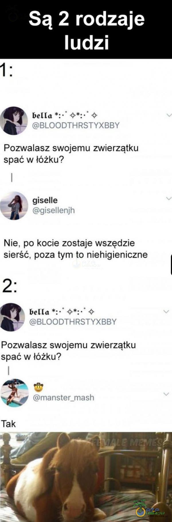  Są 2 rodzaje ludzi bella BLOODTHRSTYXBBY Pozwalasz swojemu zwierzątku spać w łóżku? giselle gisellenjh Nie, po kocie zostaje wszędzie sierść, poza tym to niehigieniczne 2: bella BLOODTHRSTYXBBY Pozwalasz swojemu zwierzątku spać w łóżku?...