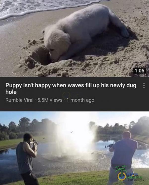1:05 Puppy isnt happy when waves flll up his newly dug hole Rumble Viral • 55M views • I month ago