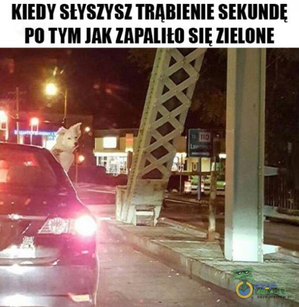 KIEDY SŁYSZYSZ TRĄBIENIE SEKUNDĘ PO TYM JAK ZAPALItO ZIELONE