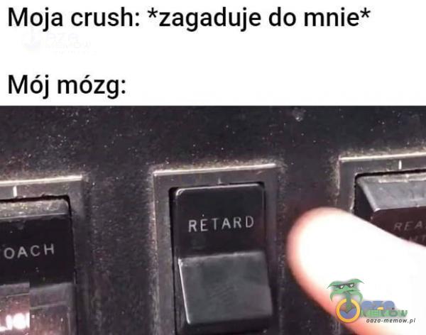 Moja crush: *zagaduje do mnie* Mój mózg: RëTARD OACH