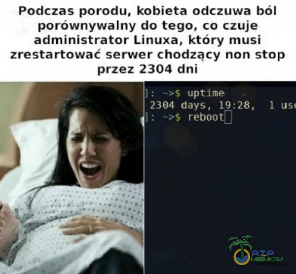  Podczas porodu, kobieta odczuwa ból porównywalny do tego, co czuje administrator Linuxa, który musi zrestartować serwer chodzący non stop przez...