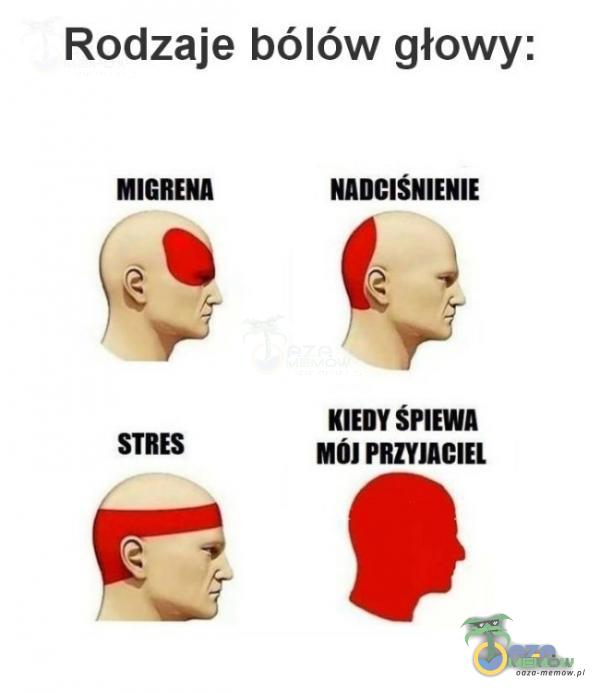 Rodzaje bólów głowy: MIGRENA STRES NADCISNIENIE KIEDY ŚPIEWA Mól PRZYJACIEL