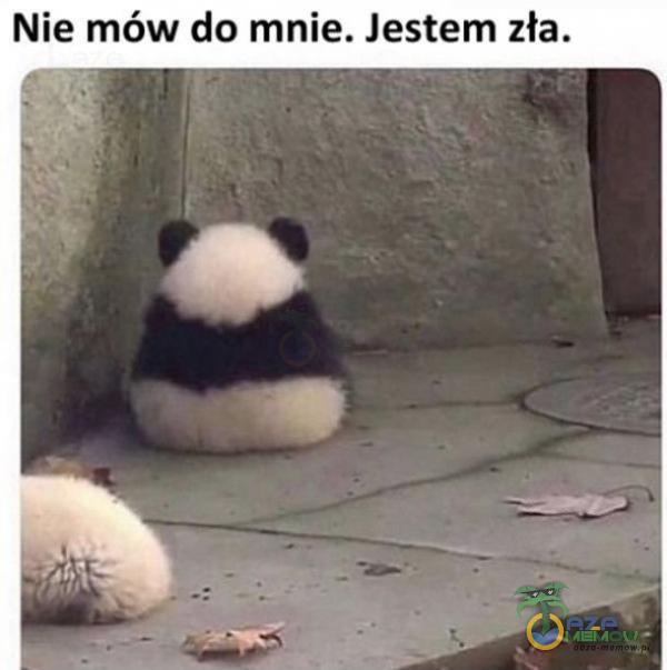 Nie mów do mnie. Jestem zła.