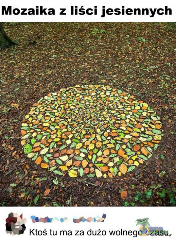 Mozaika z liści jesiennych Ktoś tu ma za dużo wolnego czasu,