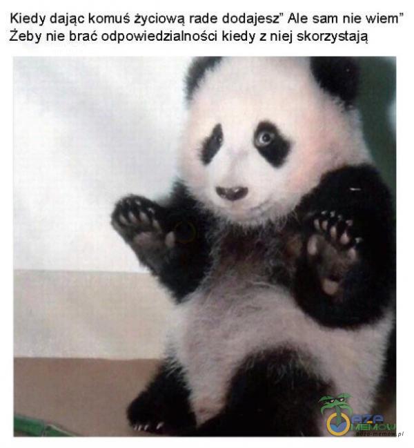 Kiedy dając komuś życiową rade dodajesz Ale sam nie wiem žeby nie brać odpowiedzialności kiedy z niej skorzystają