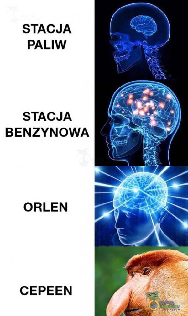 STACJA PALIW STACJA BENZYNOWA ORLEN CEPEEN