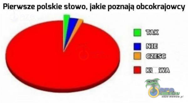 Pierwsze polskie słowo, jakie poznają obcokrajowcy p . m. u u ) msc - czEScI M s r