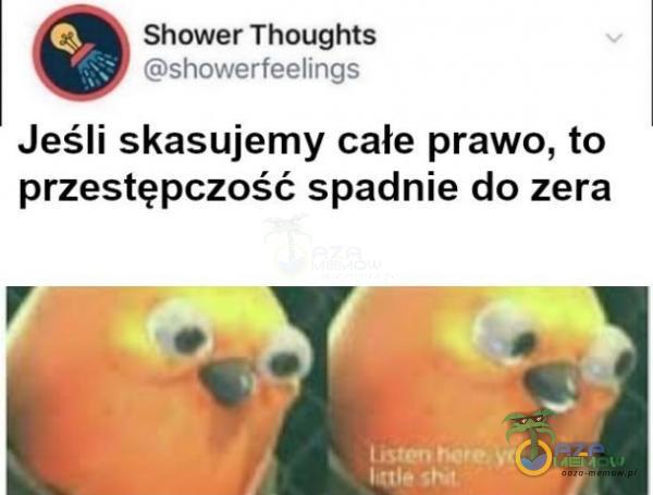 Shower Thoughts showerfeelings Jeśli skasujemy całe prawo, to przestępczość spadnie do zera