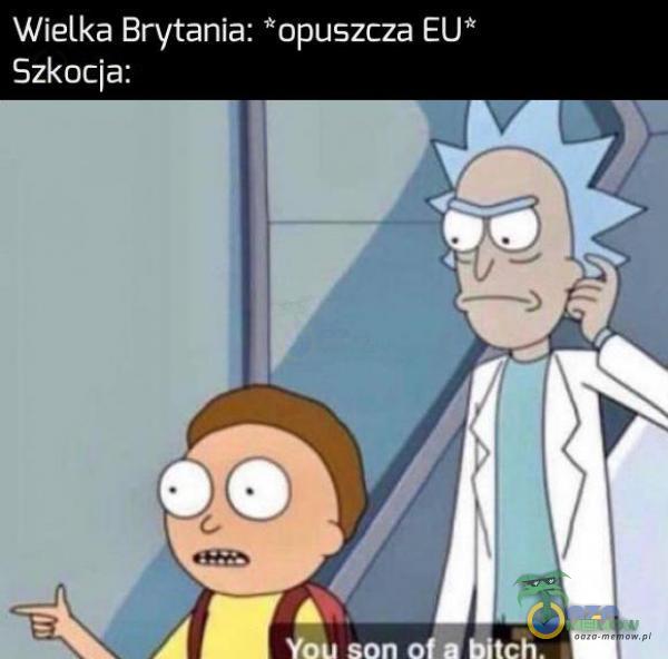 Wielka Brytania: ”opuszcza EU* Szkocia: