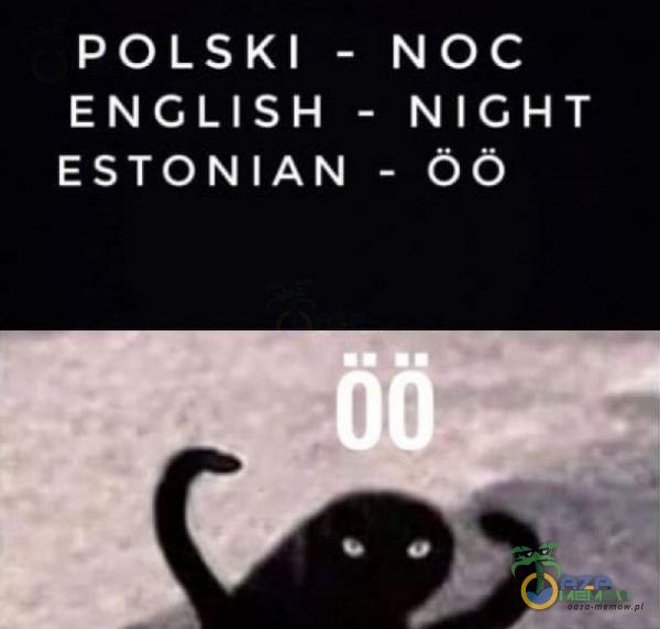 POLSKI - NOC ENGLISH - NICH T ESTONIAN