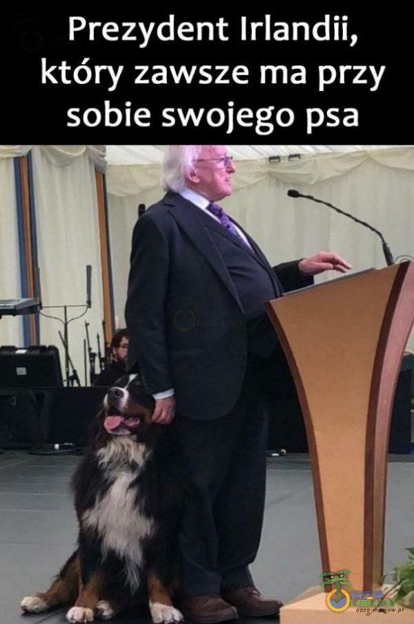 Prezydent Irlandii, który zawsze ma przy sobie swojego psa