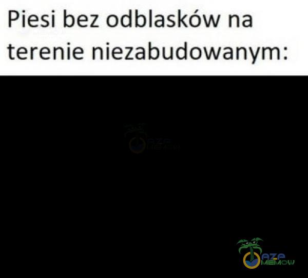 Piesi bez odblasków na terenie niezabudowanym: