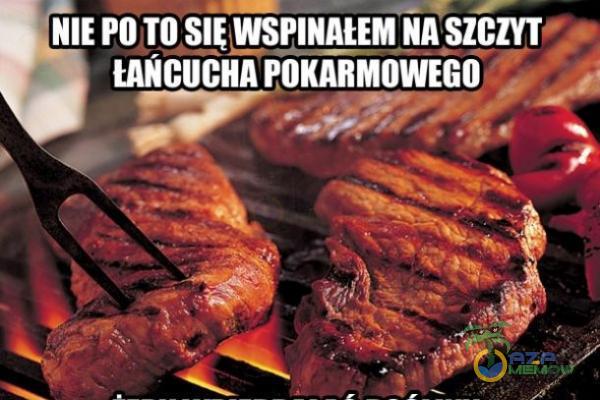 NIE po TO SIEWSPINAIEM in SZCZYT ŁAŃCUCHA POKARMOWEGO