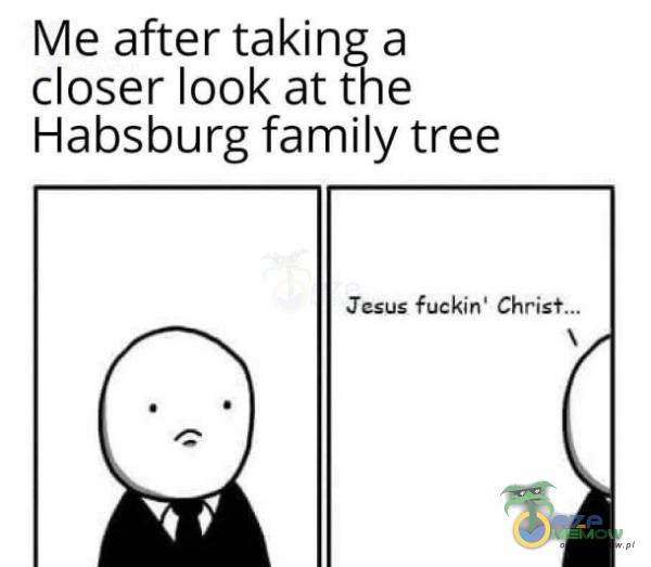 Me after taking a closer look at the Habsburg family tree Jesus fuckin