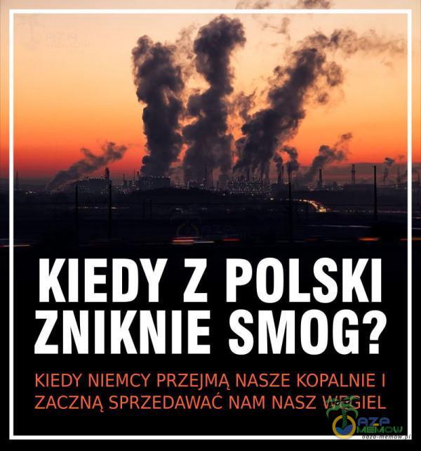 Codziennie tylko śmieszne memy, pasty, gify, suchary i filmy - przeglądaj, komentuj, dodawaj własne!