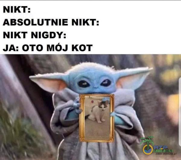 NIKT: ABSOLUTNIE NIKT: NIKT NIGDY: JA: OTO MÓJ KOT