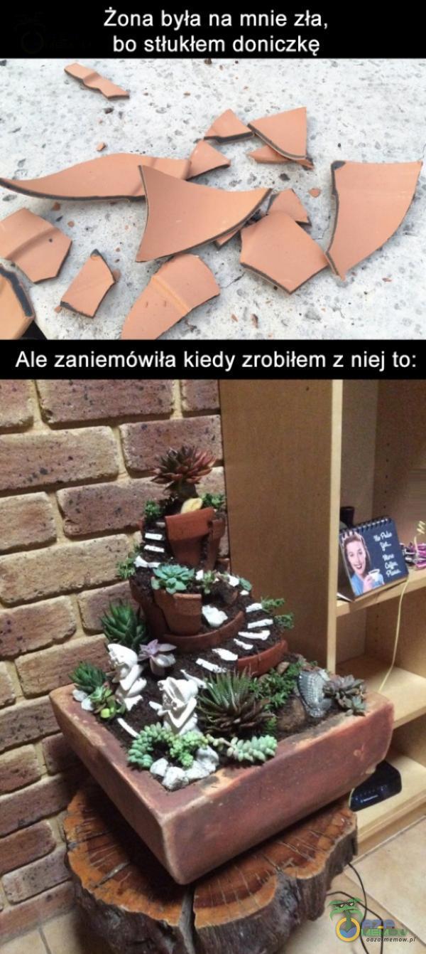 Żona była na mnie zła, bo stłukłem doniczkę