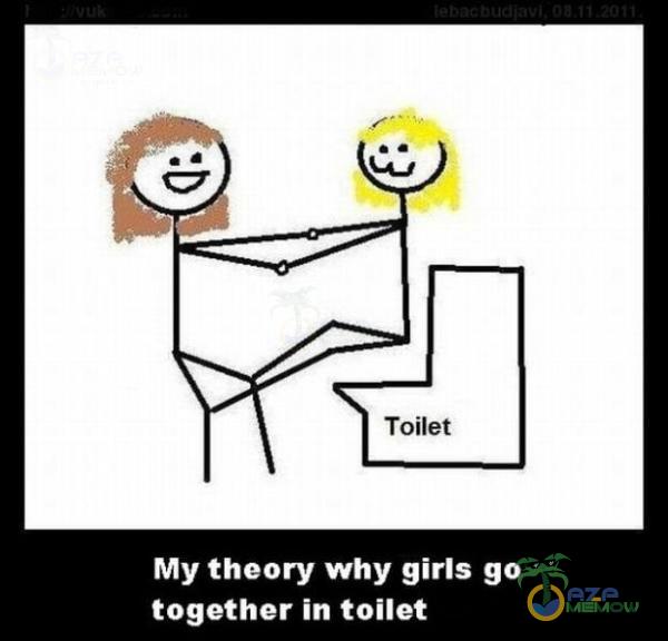 My theory why giris go together in toilet
